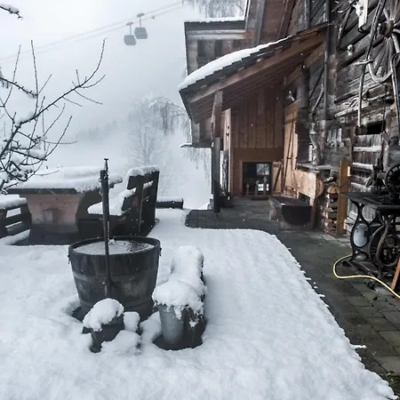 Eigerhome - The Mit Wellness - Griwa Rent Ag * Grindelwald