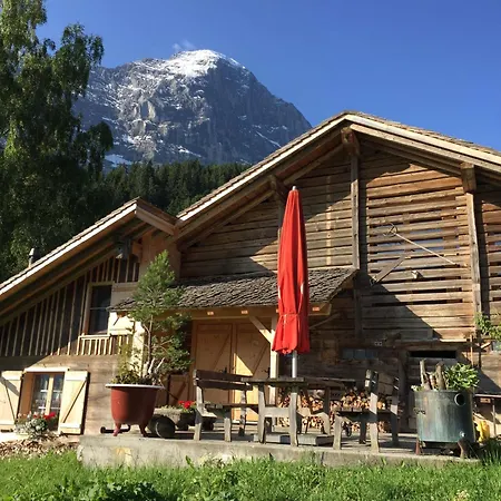 Apartment Eigerhome - The Mit Wellness - Griwa Rent Ag *